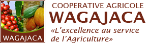 Wagajaga