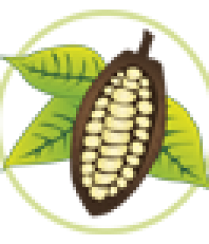 cacao